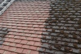 Want to give your home or business a fresh look? Our professional roof cleaning service is just what you need! Say goodbye to dirt and grime, and hello to a sparkling clean roof that will impress your neighbors. Read More