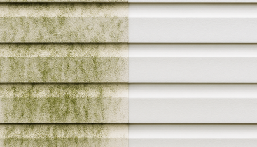 Cladding can quickly lose its shine and become dull from dirt, algae, and pollution. Our professional cleaning service restores all cladding types, including UPVC, metal, and composite panels, to their original appearance. We use safe techniques that clean thoroughly without damage, keeping your property’s exterior well protected. Clean cladding improves kerb appeal and gives buildings a modern, well-kept look. Regular cleaning also helps extend the lifespan of your cladding.